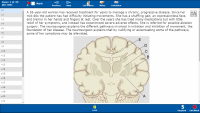 neuro pathology.pdf